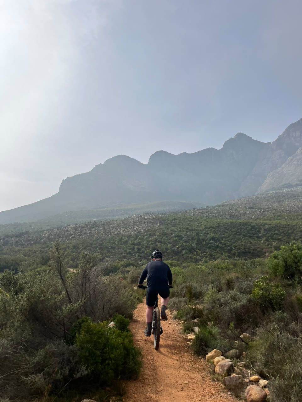 Mountain biker riding a narrow fynbos singletrack in the Stellenbosch mountains